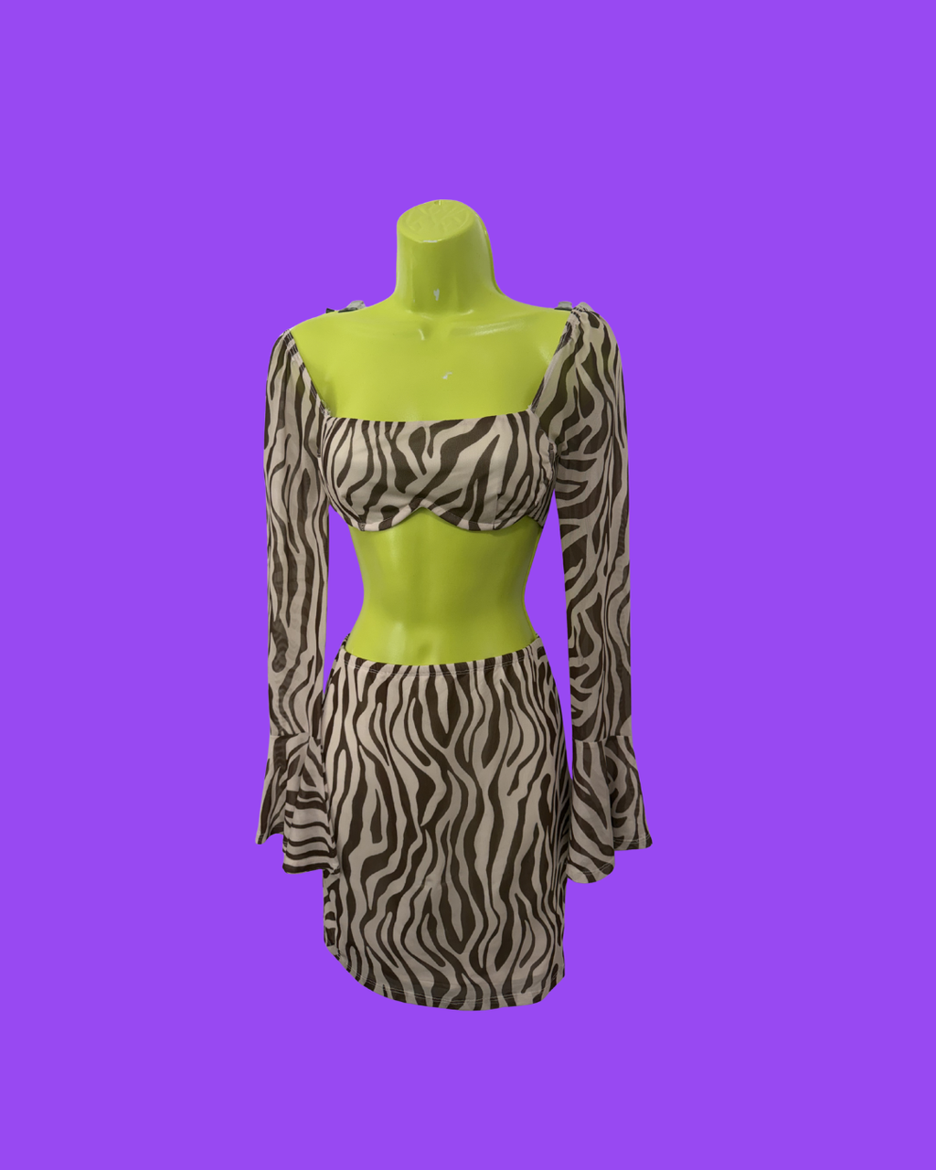Zebra Princess Polly Top & Skirt Set, 4