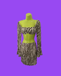 Zebra Princess Polly Top & Skirt Set, 4