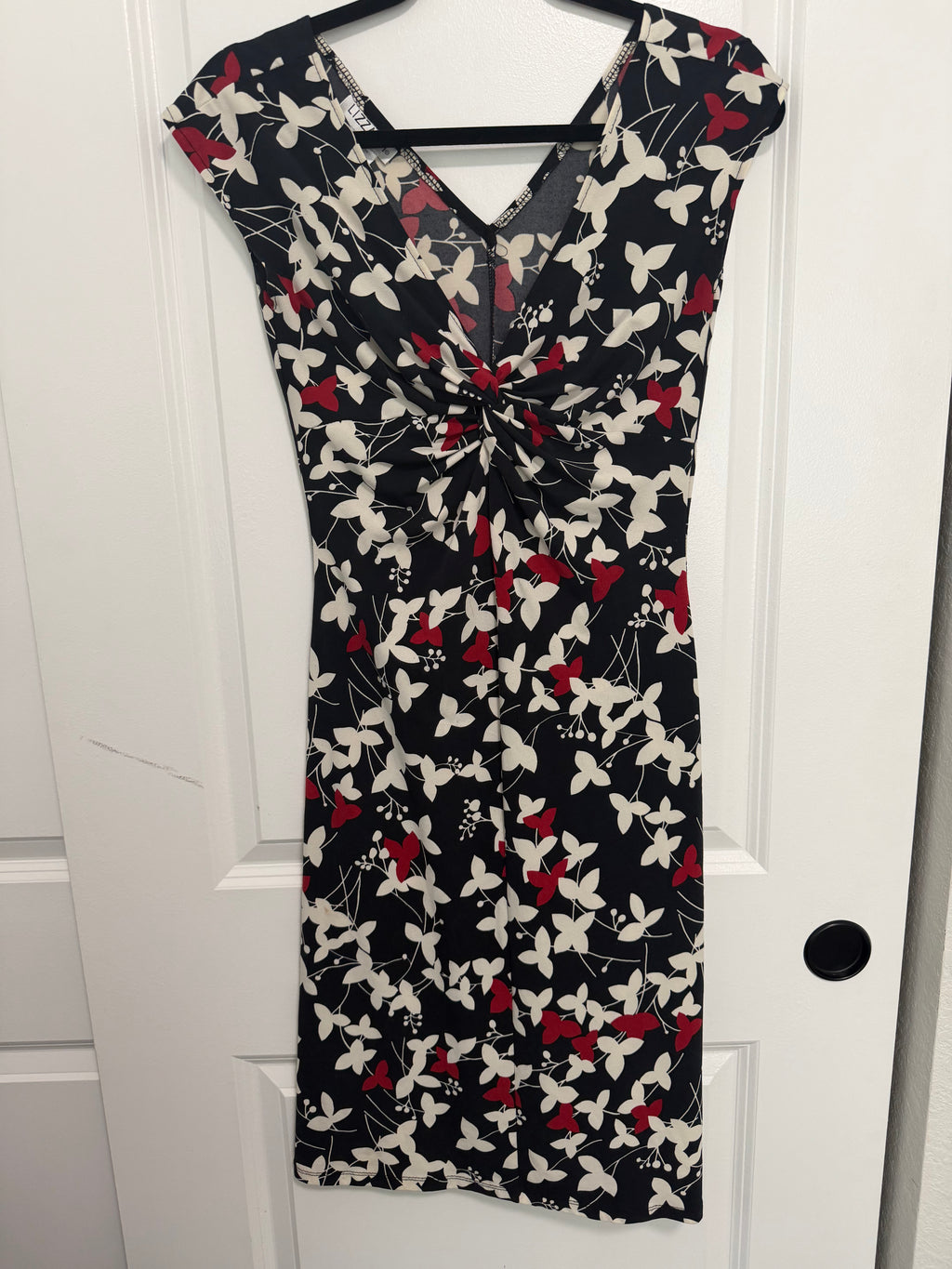 Lizzatti Dress- Size 4